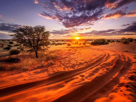 Namibia_Kalahari Wüste_Sonnenuntergang
