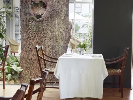 Wein_The Conservatory