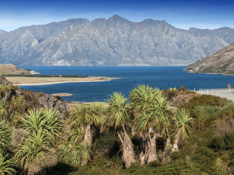Neuseeland_Südinsel_Makarora Lake Hawea 