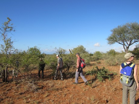 South Africa Kruger Greg Bates-6347