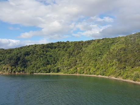 Nature in Picton