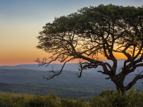 Südafrika_Sonnenuntergang im Hluhluwe Im