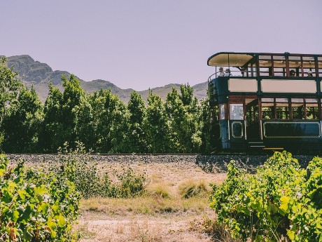 Franschhoek Wine Tram_Südafrika_Wineland