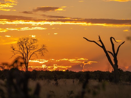 Africa Expeditions_Botswana_Savuti (3)_B