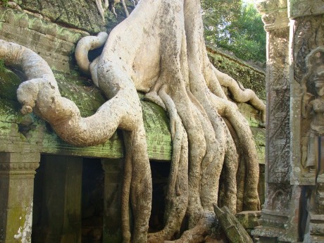 Ta Prohm