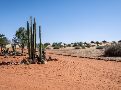 Bagatelle Kalahari Game Ranch, Mariental