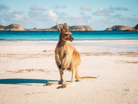 Australien_Westaustralien_Cape Le Grand 