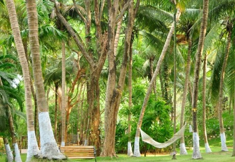 Kairali – The Ayurvedic Healing Village