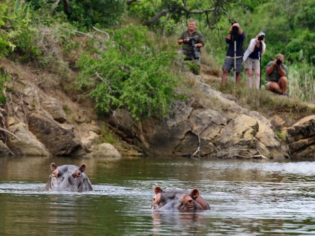 ZA_Kariega Game Viewing_GAW016