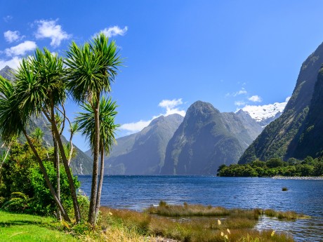 Neuseeland_Südinsel_Fiordland NP_Milford