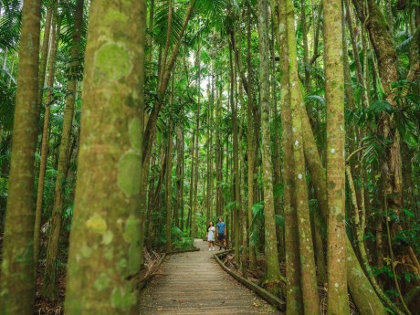 Sunshine Coast Hinterland_Maleny
