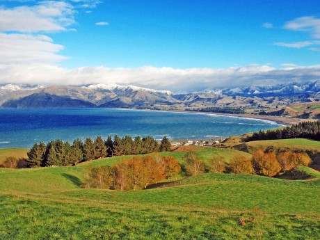 Neuseeland_Südinsel_Kaikoura