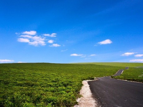 Nature, Kangaroo Island