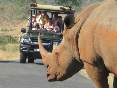 Anew Hotel Hluhluwe&Safaris_Südafrika_16