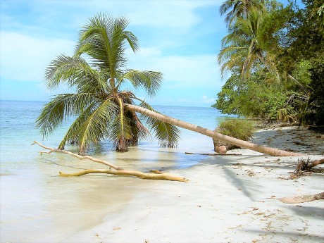 Cahuita Beach