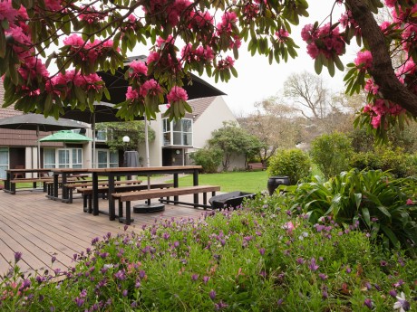 Dunedin-Leisure-Lodge-Rhododendrons-Over