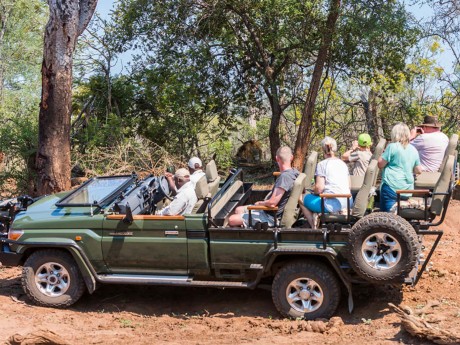 Makalali Private Game Lodge_Game Drive_0