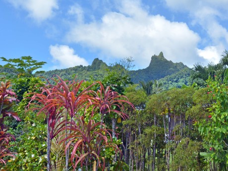 Cook Islands_Te Manga_Rarotonga