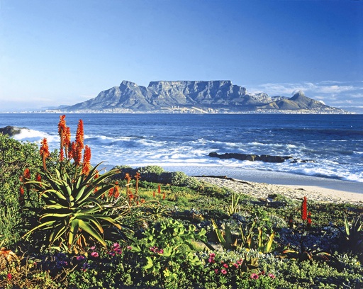 Afrika Suedafrika blumiger Strand