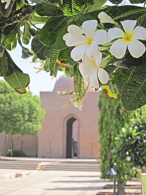 Oman Muscat Grosse Moschee Blume