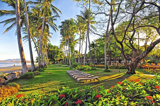 Garten im Tamarindo Diria Beach Resort