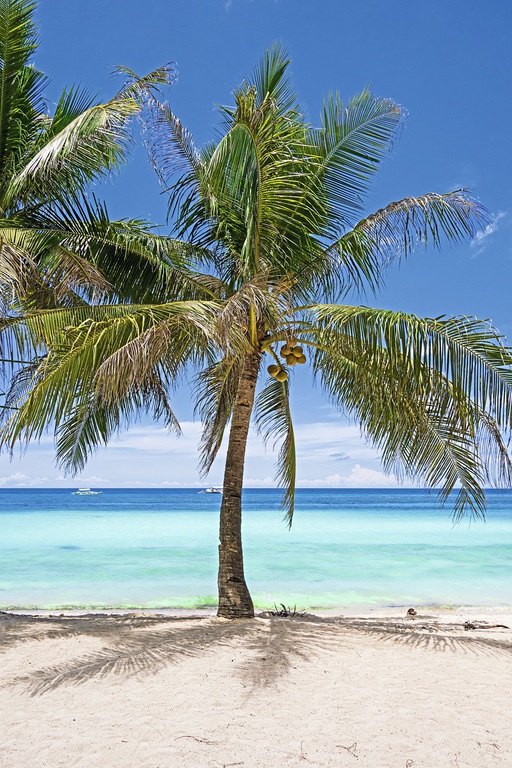 Verlängerung in Bohol - Bohol Beach Club 