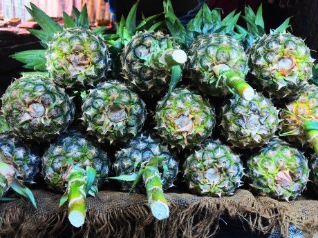 Exotische Früchte, Sansibar