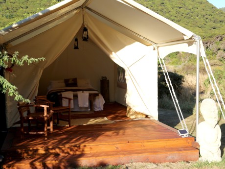 Kapiti Island Nature Tours_Neuseeland_Ki