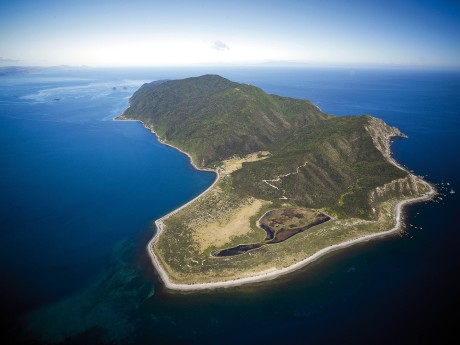 Kapiti Island Nature Tours_Neuseeland_Ka