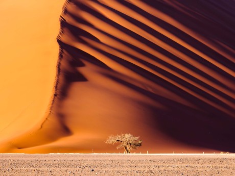 Namibia_Düne 45