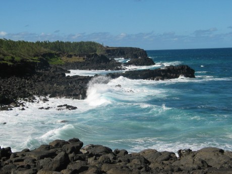 The Tea Route & The South_Mauritius_XMUM