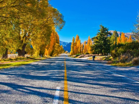 Neuseeland_Südinsel_Te Anau_