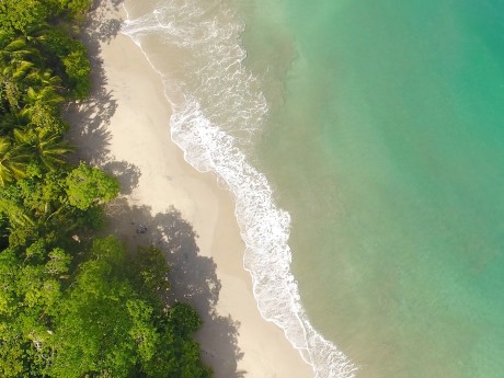 Manuel Antonio 15