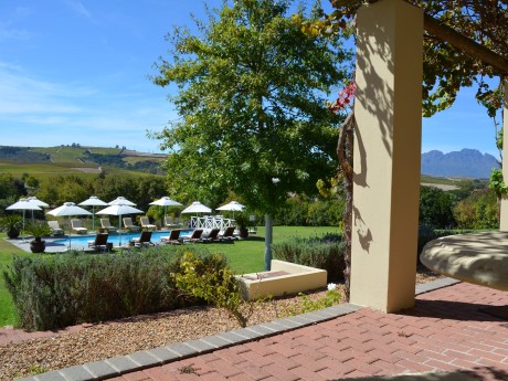 Cultivar Guest Lodge_Südafrika_Sangioviz