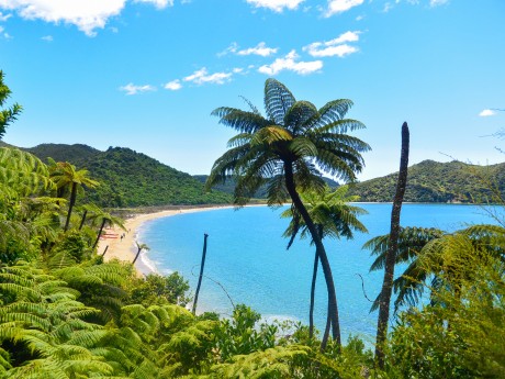 Neuseeland_Südinsel_Abel Tasman National