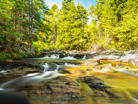Ka_New Brunswick_Fundy NP_Laverty Brook 