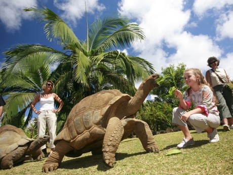The Tea Route & The South_Mauritius_XMUM