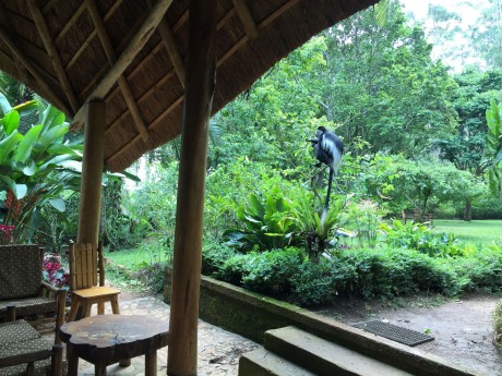 Kibale Forest Camp