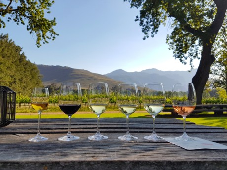 Südafrika_Weinprobe_shutterstock©Luiz An